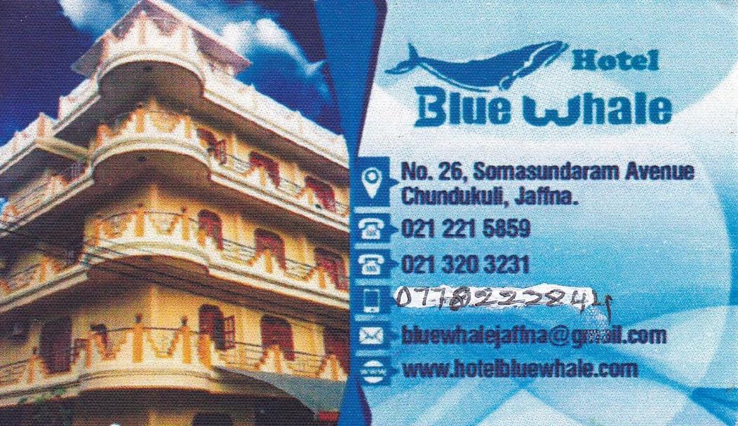 Hotel Blue Whale Джафна Экстерьер фото